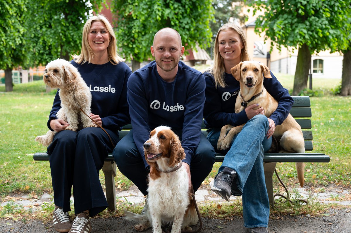 ArcticStartup tweet media