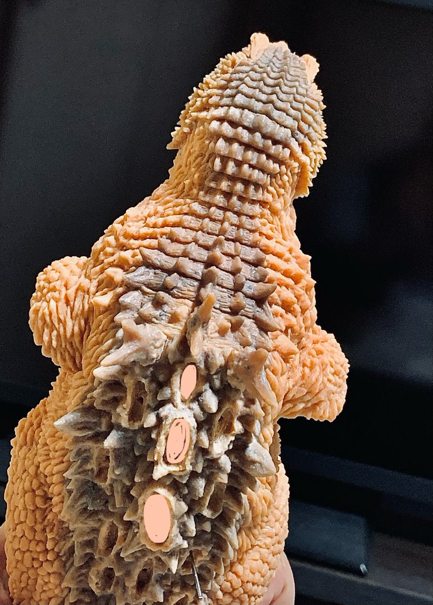 TOM (@Tom510h312k) / Posts / X