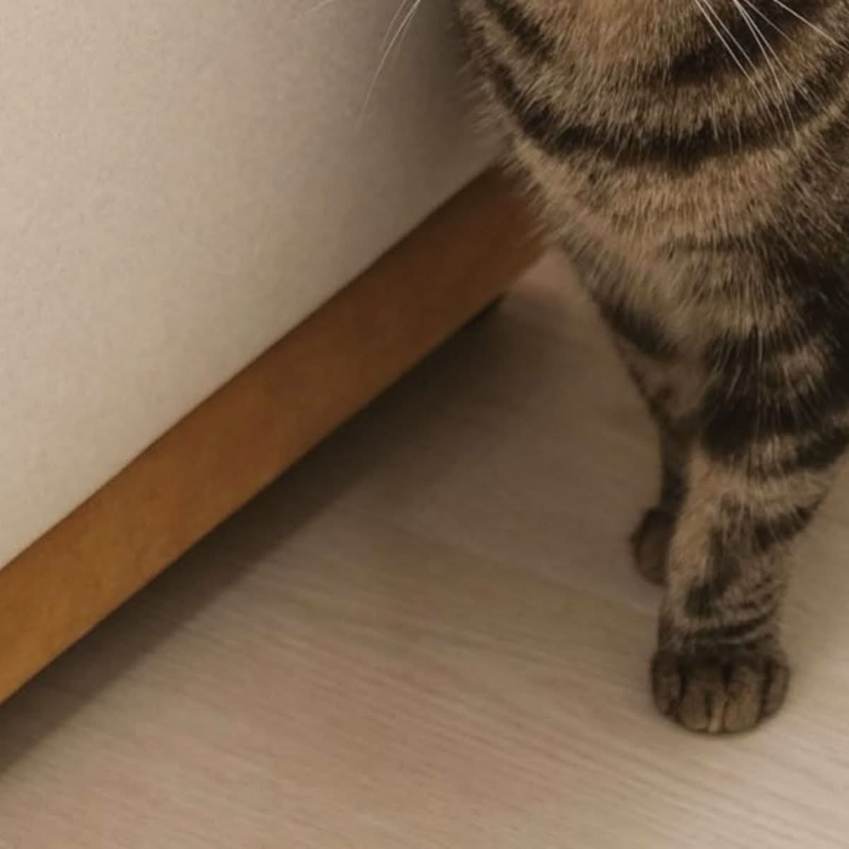 瘋哥 (@kakakafong) on Twitter photo 