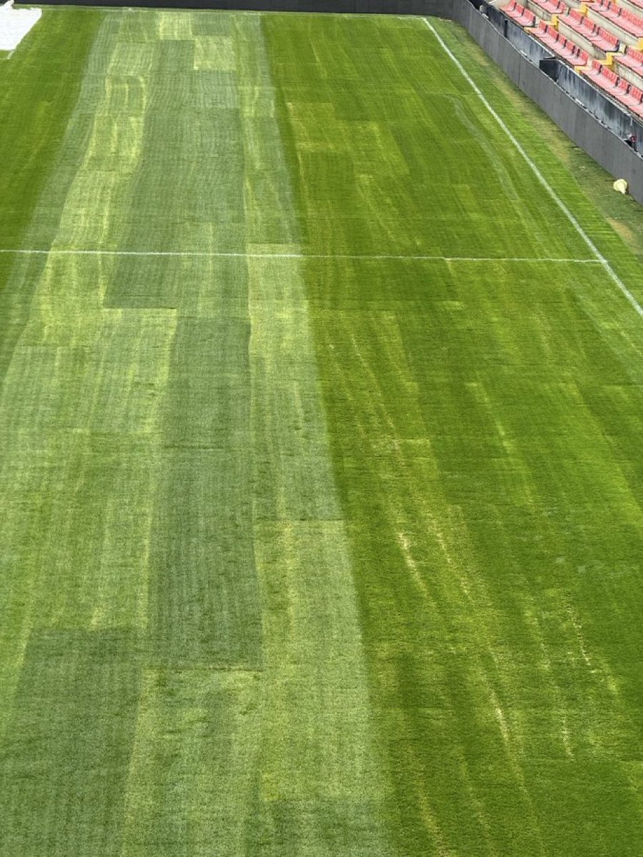No es un prado en Asturias para que pasten las vacas de <a href="/LecheAsturiana/">Central Lechera Asturiana</a> , es el campo de fútbol del Rayo Vallecano.