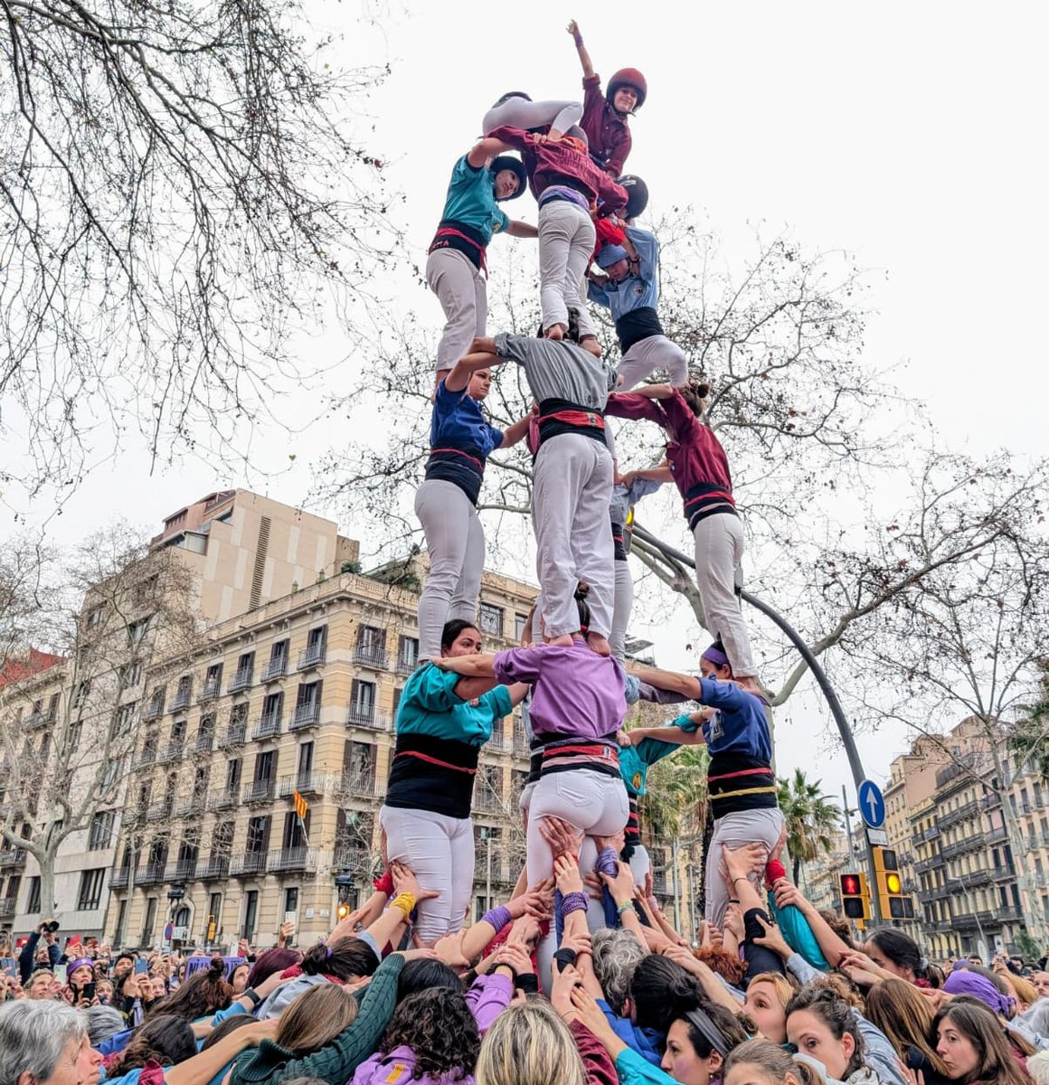 Revista Castells tweet media