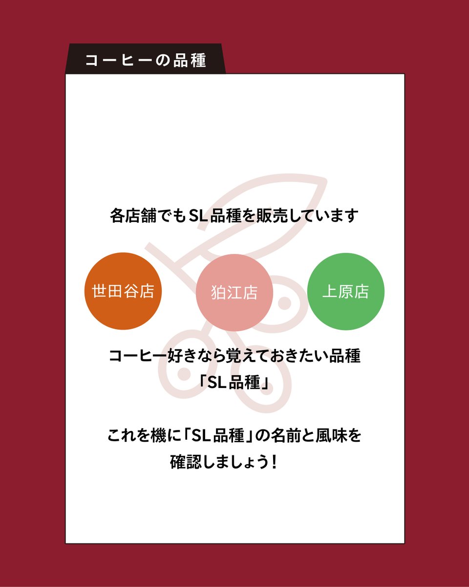 各店舗にてSL品種取り扱い中です。
狛江、上原ではセット販売も取り扱い中、
ぜひご来店ください。
※数量限定！