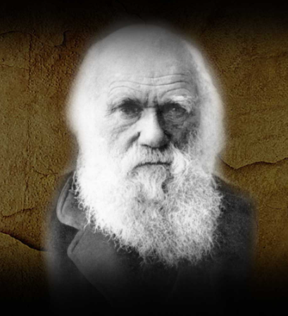 Fay Easton tweet media