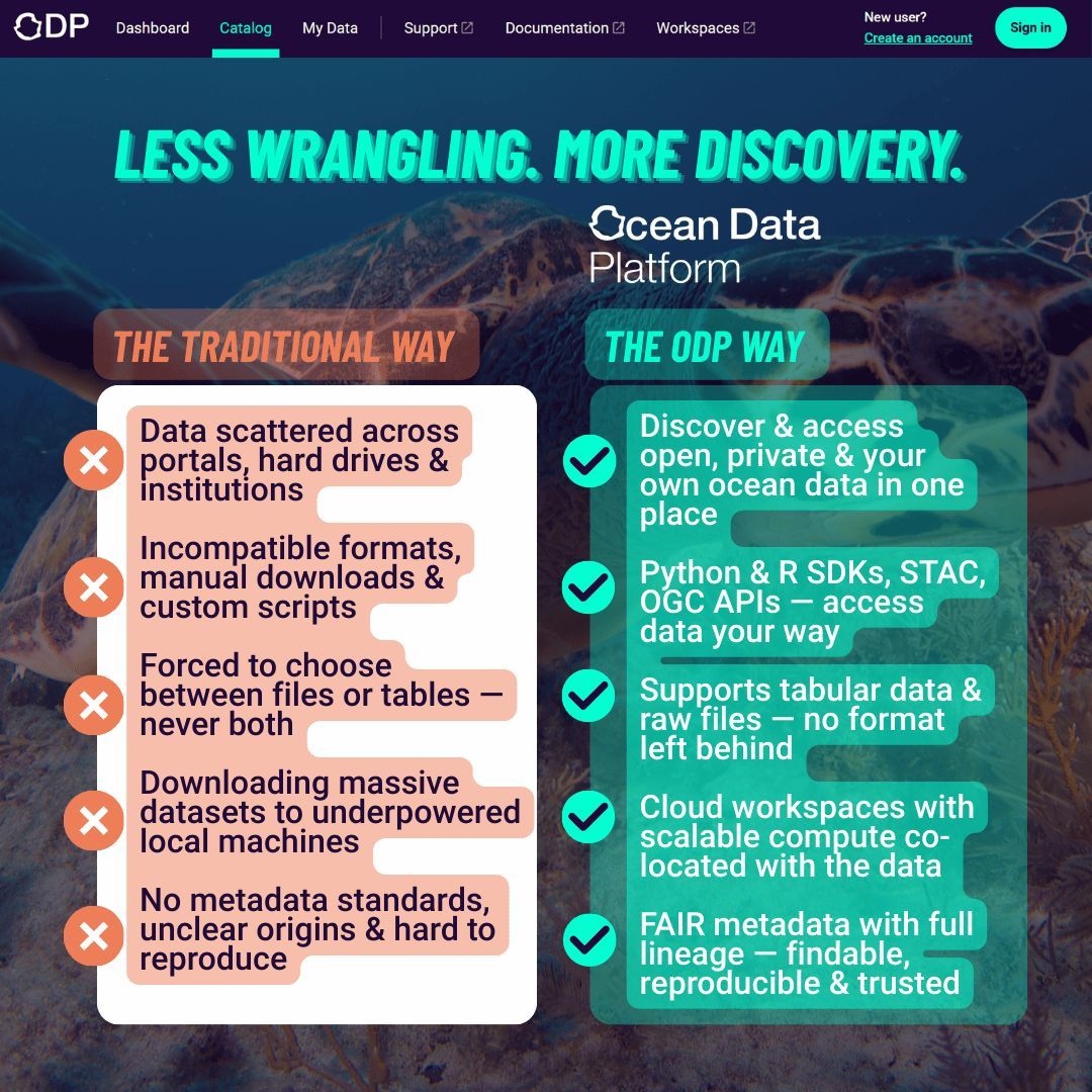 HUB Ocean tweet media