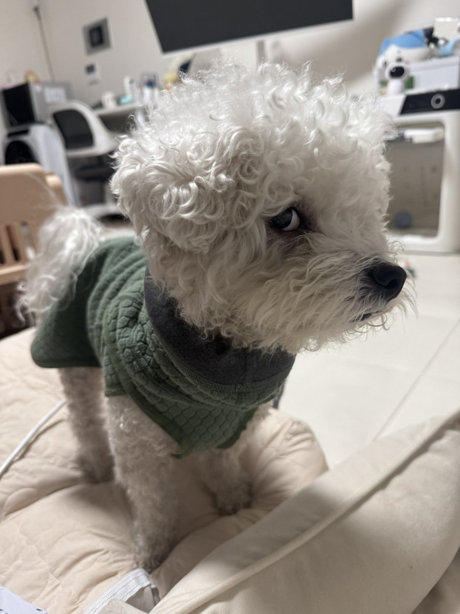 MYB0R1's tweet photo. 누나 죽이는 생각 https://t.co/8SZOgkKMWc