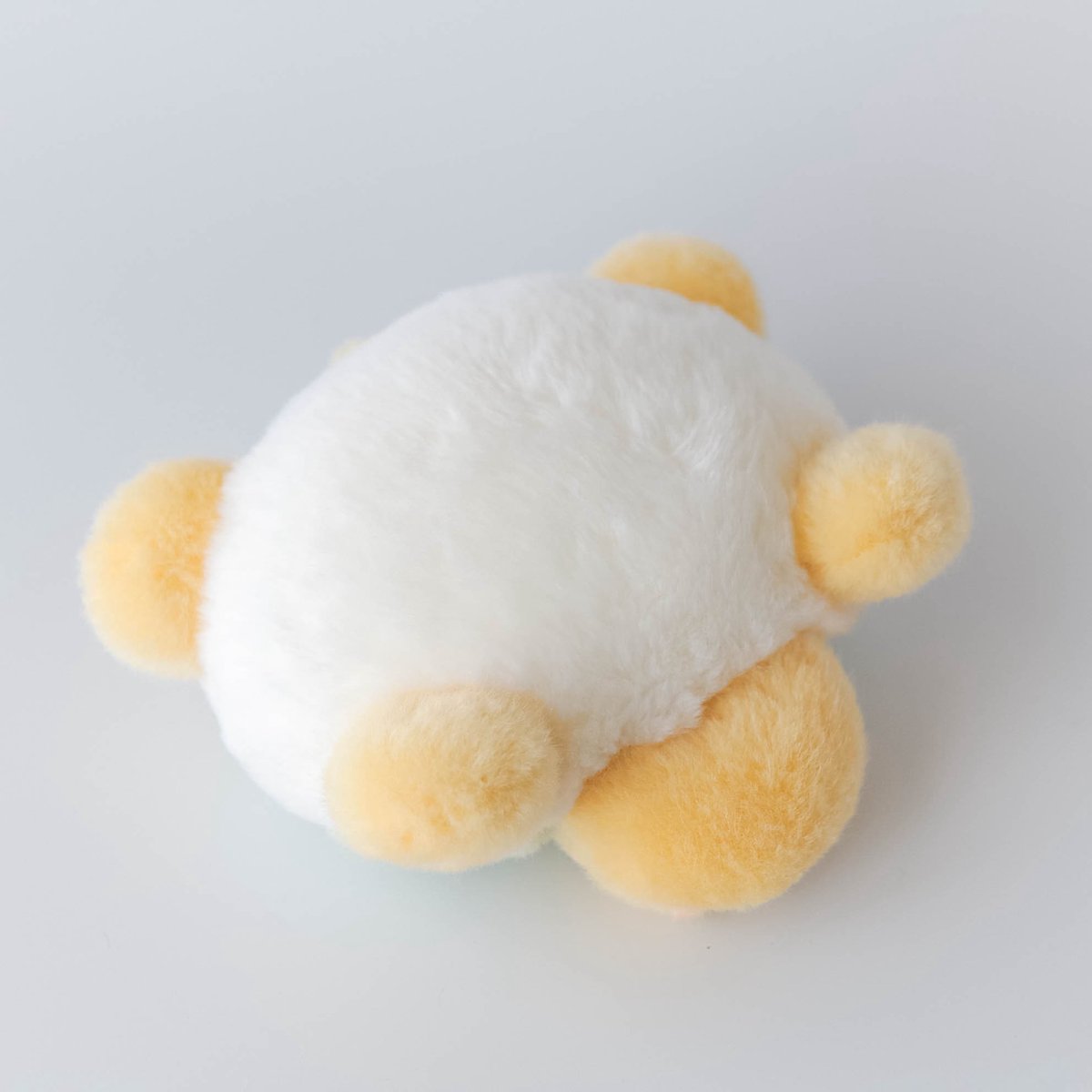 anharu_softtoy's tweet photo. 🐢🐢🐢🌷 https://t.co/VSvDXJhm20