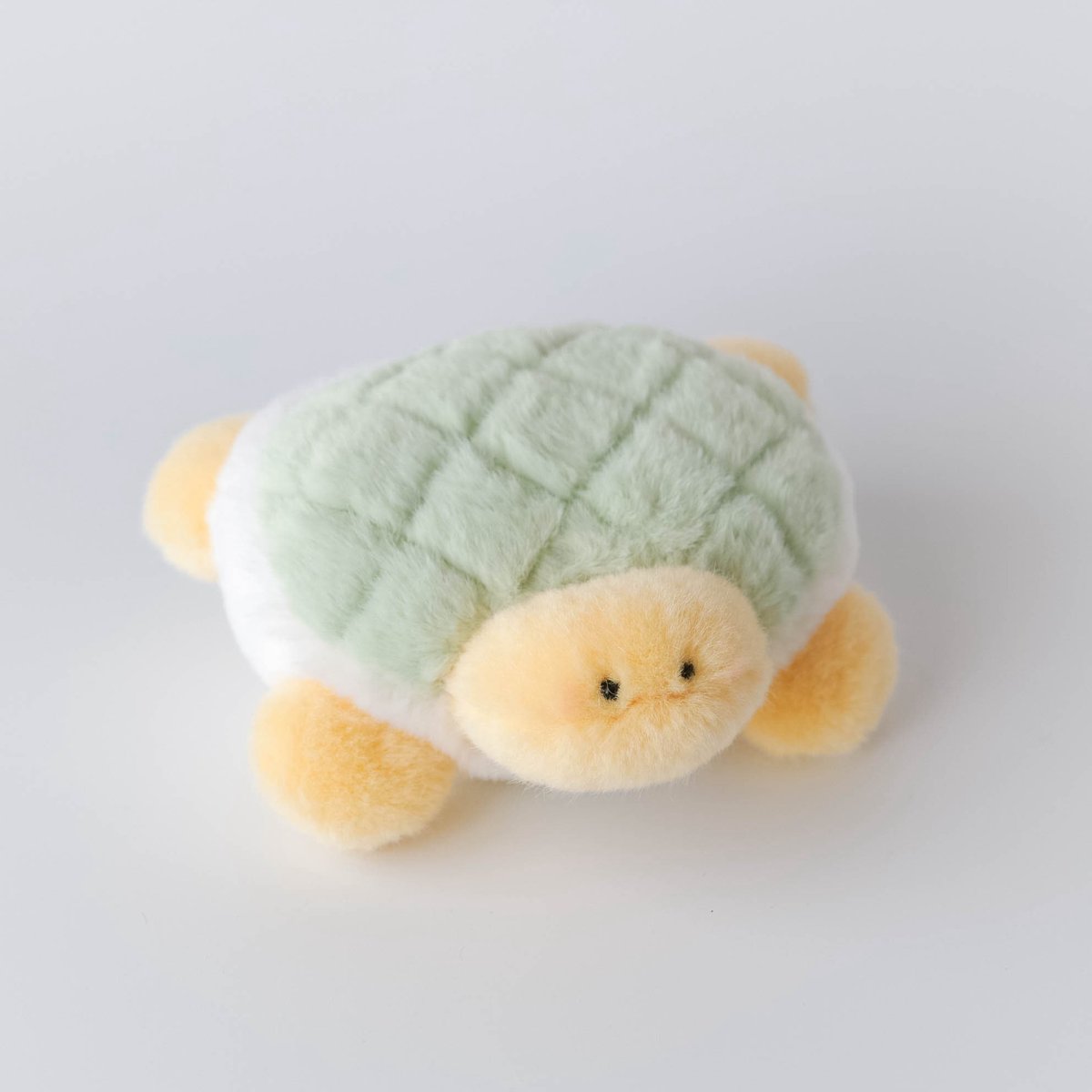 anharu_softtoy's tweet photo. 🐢🐢🐢🌷 https://t.co/VSvDXJhm20