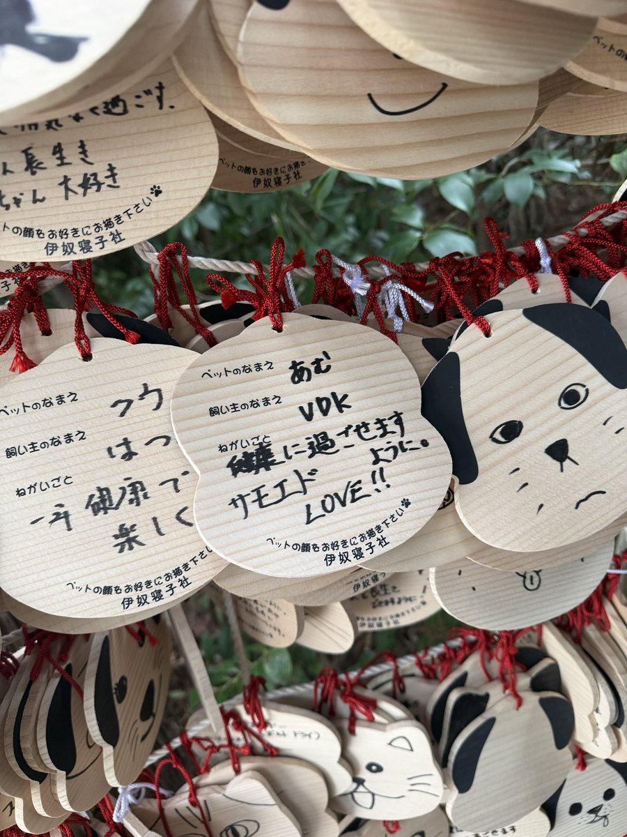 やっと初詣行けたよ⛩️