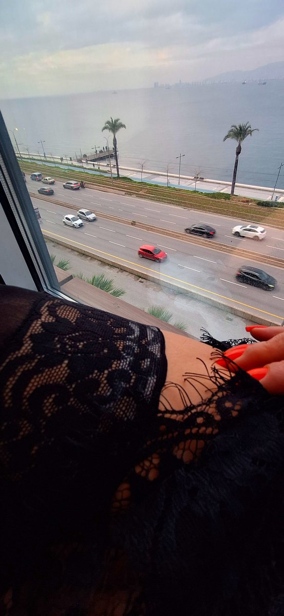 melaniya_m61390's tweet photo. Günaydın https://t.co/lixnUzPc58