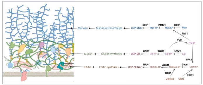 Neil Gow tweet media