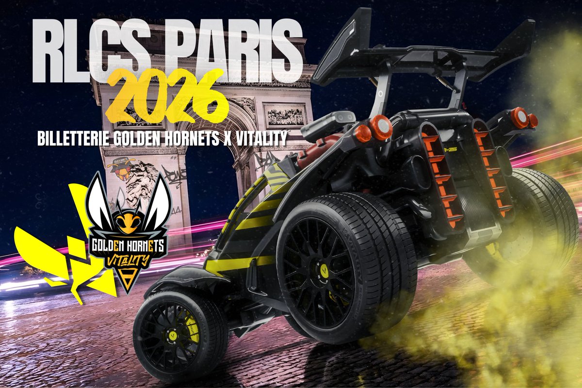 🐝 Golden Hornets 🐝 tweet media