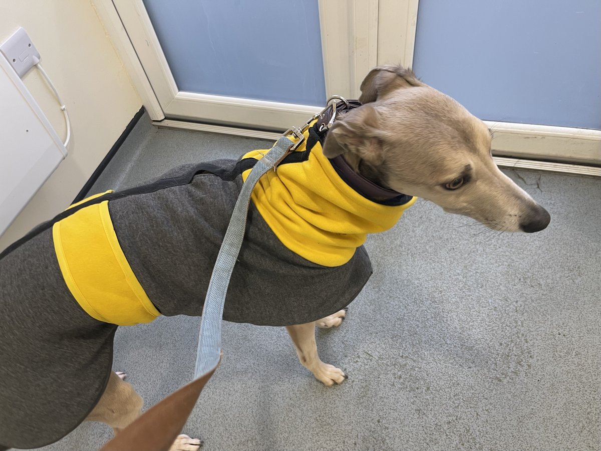 Kai 🌈& Co tweet media