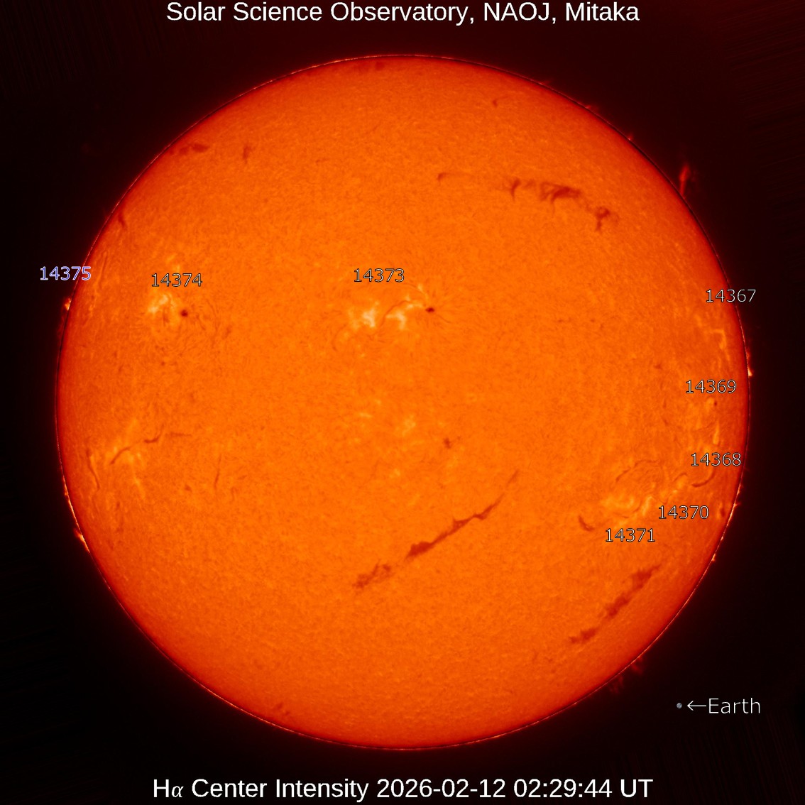本日の太陽】2026-2-12のHα線全面像 比較的静穏な状態が続いています