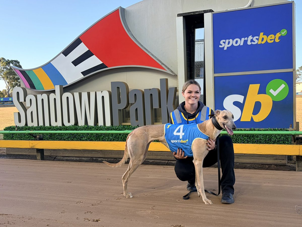 Sandown Greyhounds tweet media