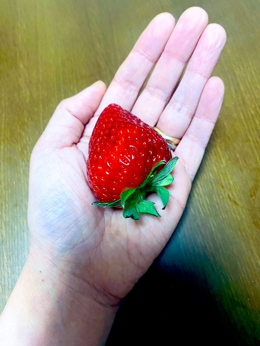 お疲れ様でした

奈良には色々ないちご🍓がありますよ
先日頂きました、古都華
大きいので満足感たっぷりですよ
季節の美味しいもの、味わいたいですね☺️