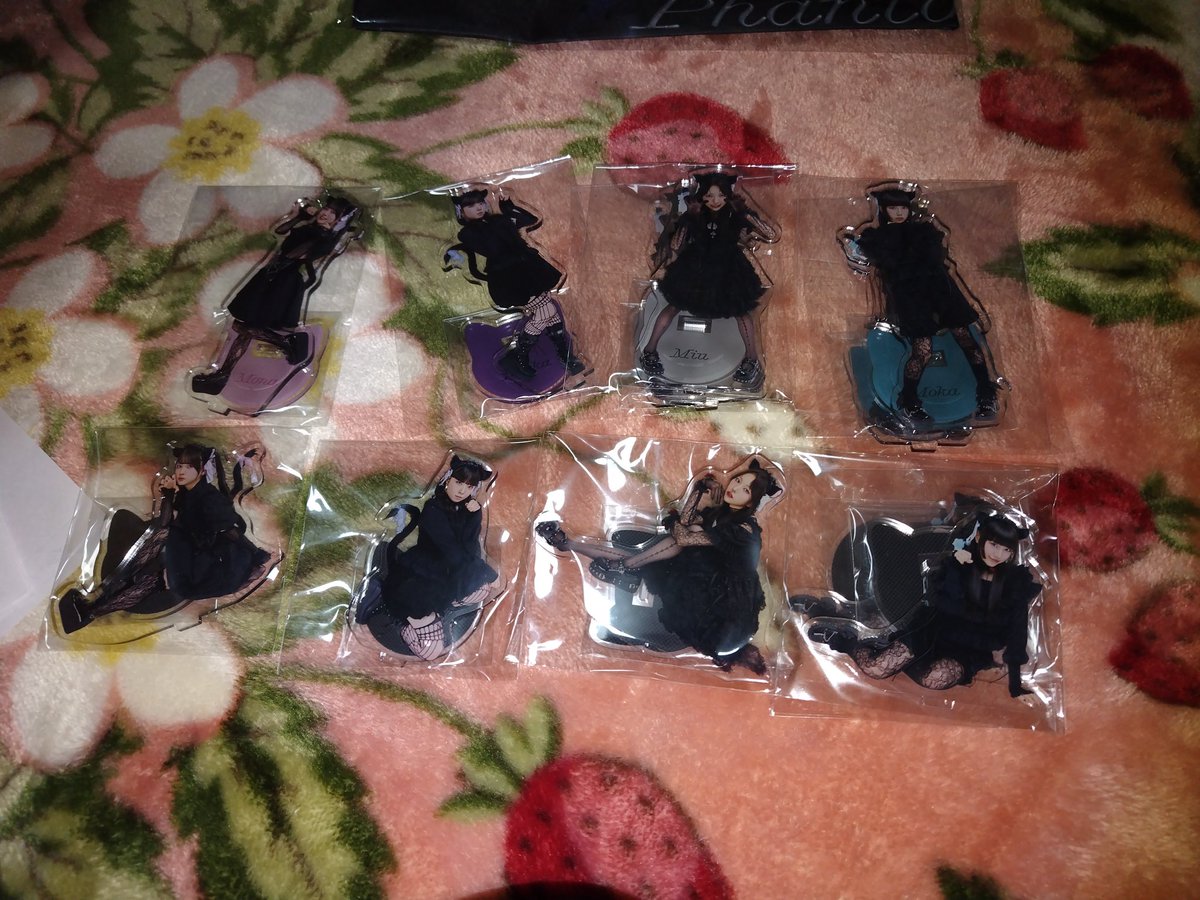 ラッフルくじ、しーたちゃん達のアクスタ無事コンプ✨️交換などしていただいた方ありがとうございました🙇
Adoちゃんのもだけどグッズ整理追いついてないな、、、
怪忌蝶寫眞集も未開封💦