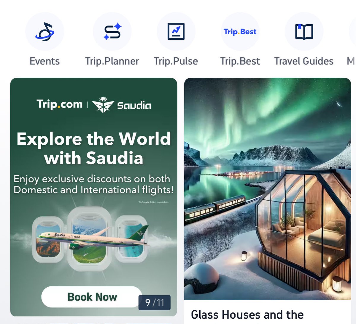 محمد القعود tweet media