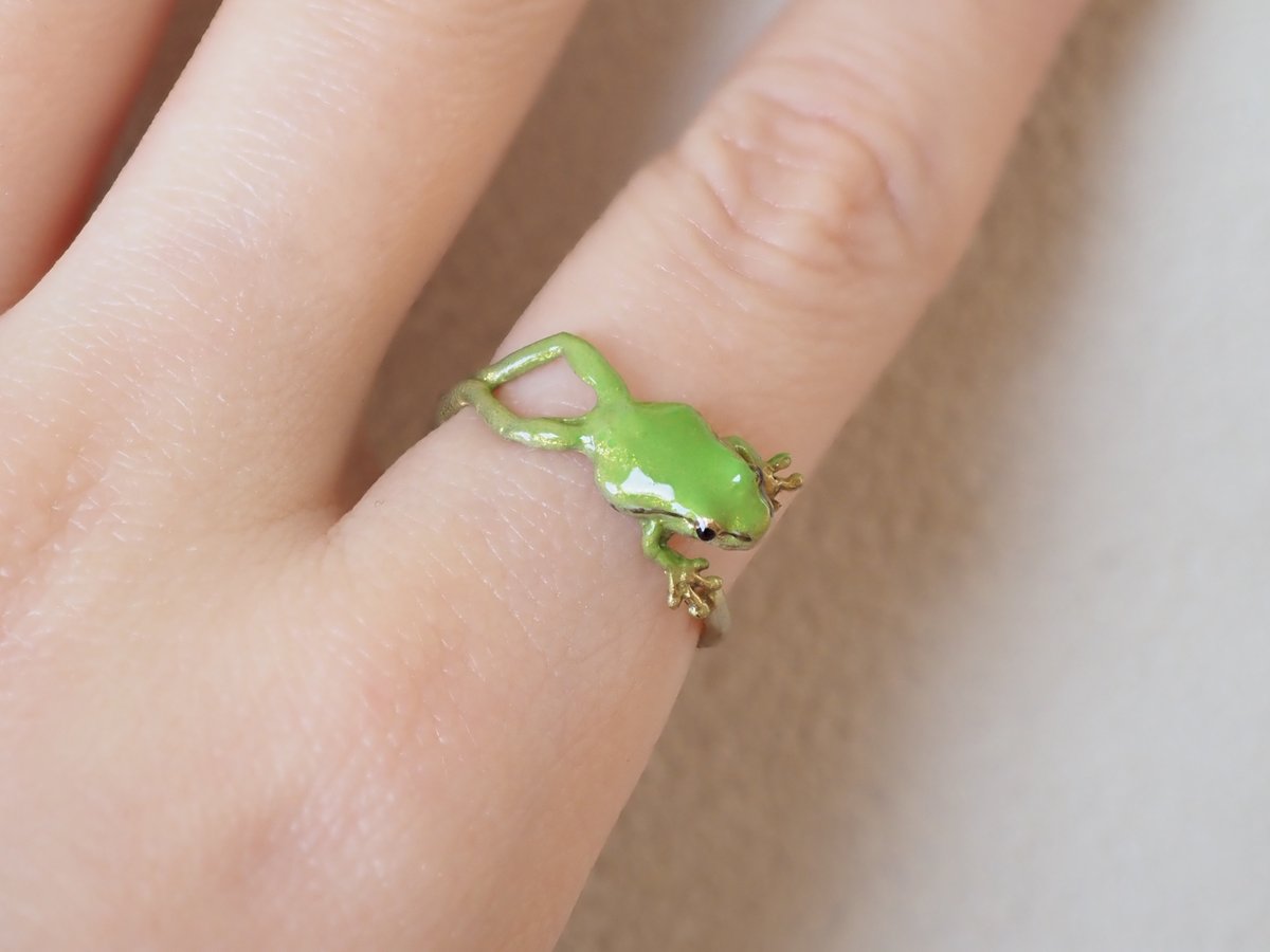 久しぶりにアマガエルの
捕食リングを制作しました🐸

お口を開けて、今まさに獲物へぴょ〜ん！
そんな一瞬をギュッと閉じ込めたリングです。

次回のweb販売は2月下旬頃を予定してます📝