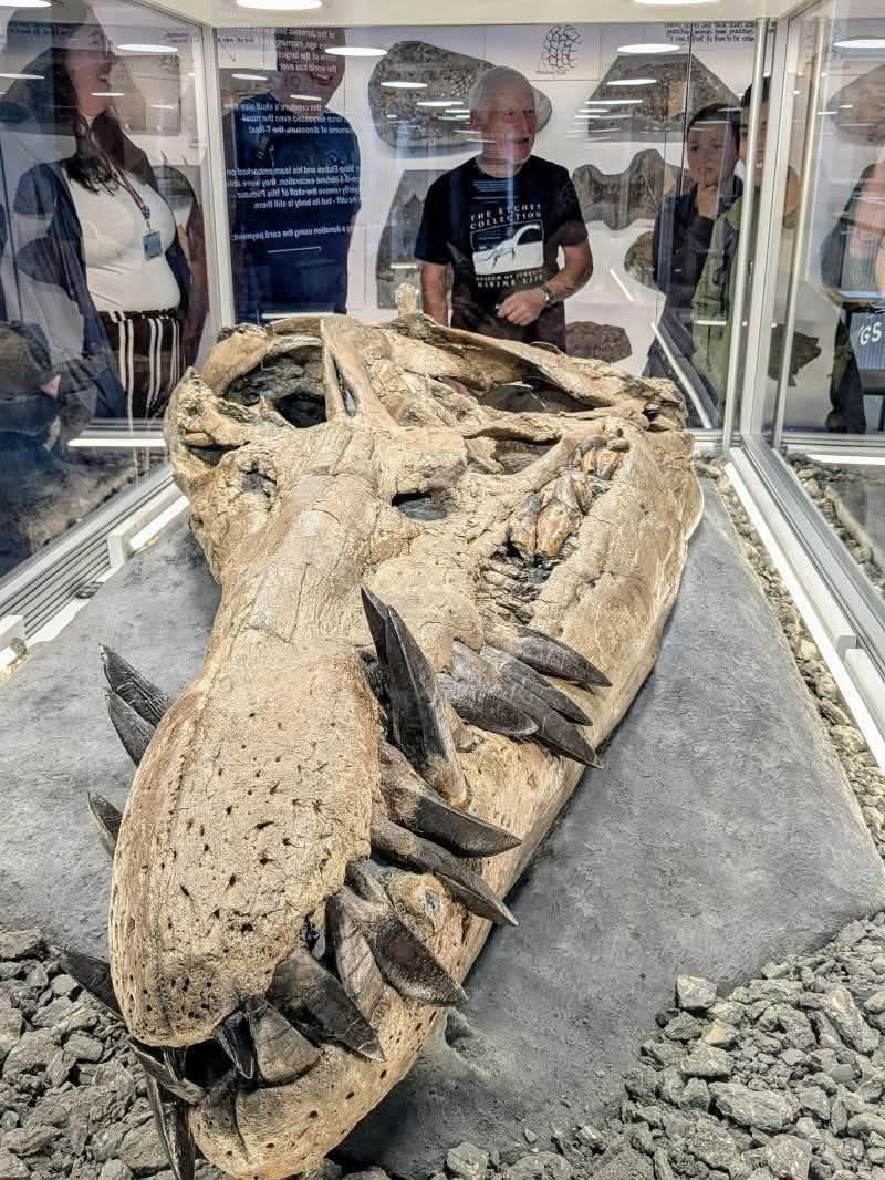 โลกบรรพชีวินวิทยาตื่นเต้น 🇬🇧 นักวิทยาศาสตร์อังกฤษพบกะโหลก “ไพลโอซอร์” นักล่าทะเลยุคจูราสสิก อายุราว 150 ล้านปี ที่ Jurassic Coast กะโหลกยาวราว 2 เมตร สมบูรณ์ที่สุดเท่าที่เคยพบมา 🦖🌊

โดยการค้นพบครั้งประวัติศาสตร์นี้ถูกนำเสนอผ่านสารคดีของเซอร์เดวิด แอตเทนบะระ ทาง BBC One