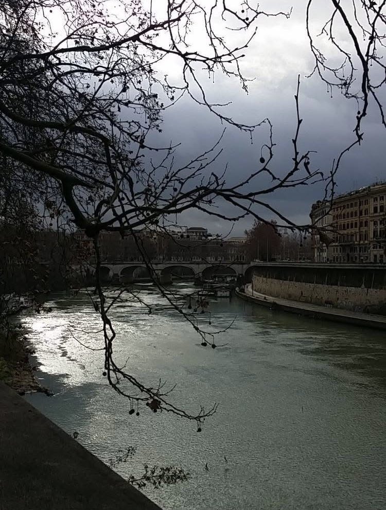 Roma di pioggia ☔️