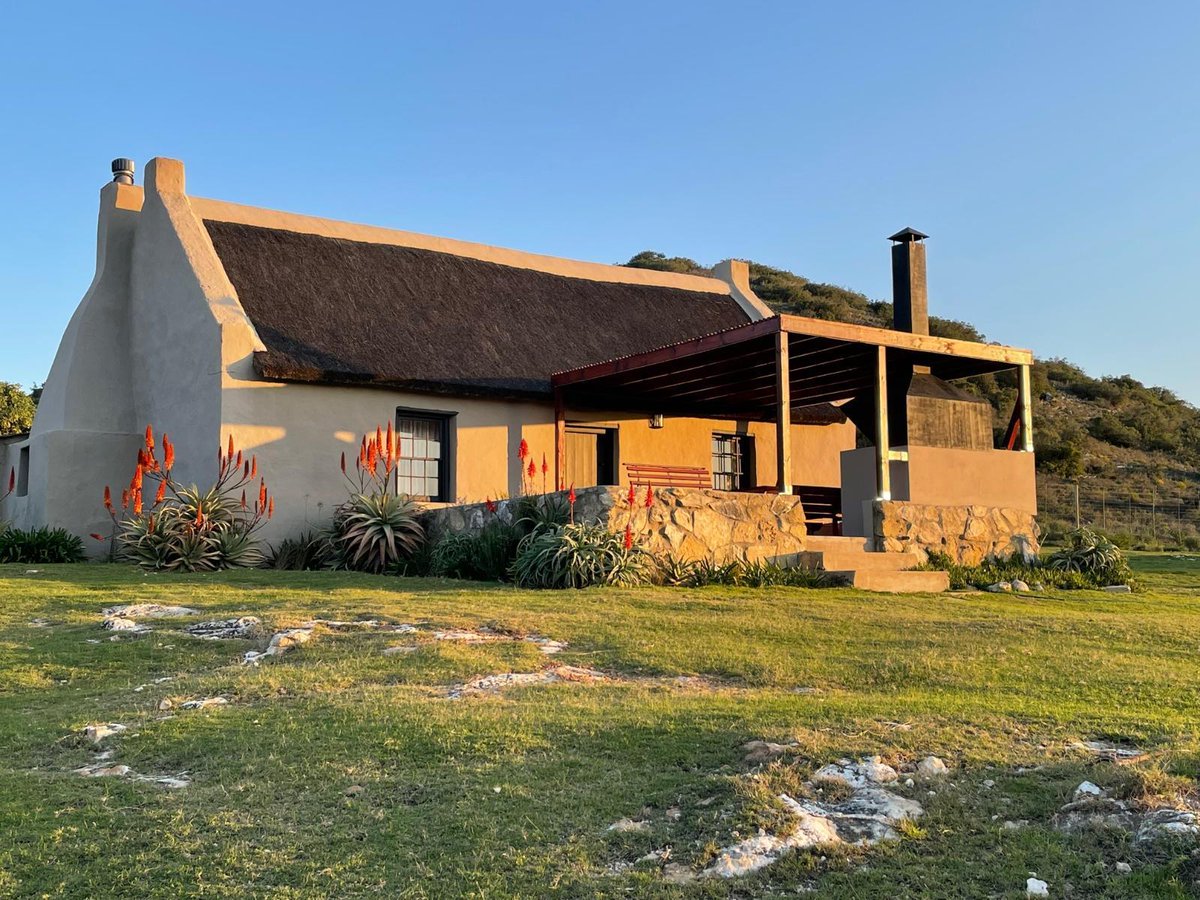 SleepingOUT_SA's tweet photo. Swartklip Game Lodge in Riversdale, Garden Route 

Choose from luxury king/queen rooms with fireplaces &amp; private balconies, or a 2-bedroom family lodge with full kitchen &amp; mountain views. 

Book via https://t.co/SwlUcjZYLi

#SleepingOut #GardenRoute #Riversdale #GameLodge https://t.co/HZAKrhCts9