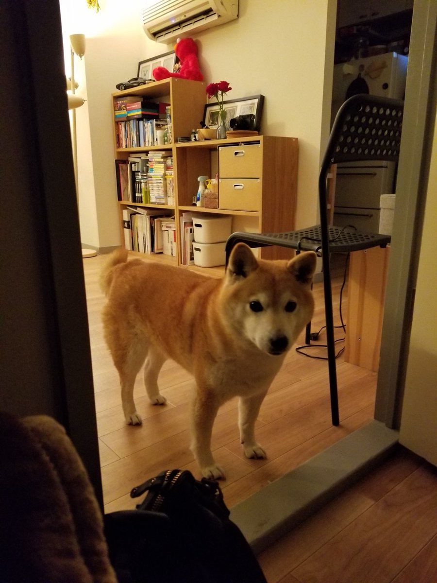 独特の雰囲気があった