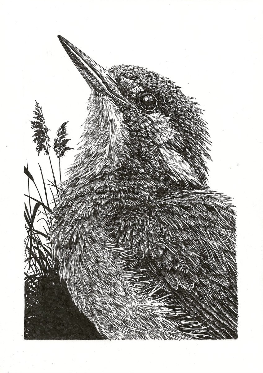 Bas Geeraets 🦉 tweet media