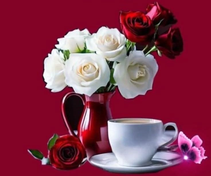 Sapna tweet media