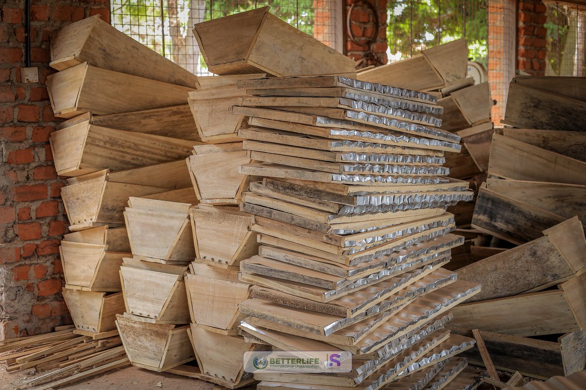 BetterLife International Organization tweet media