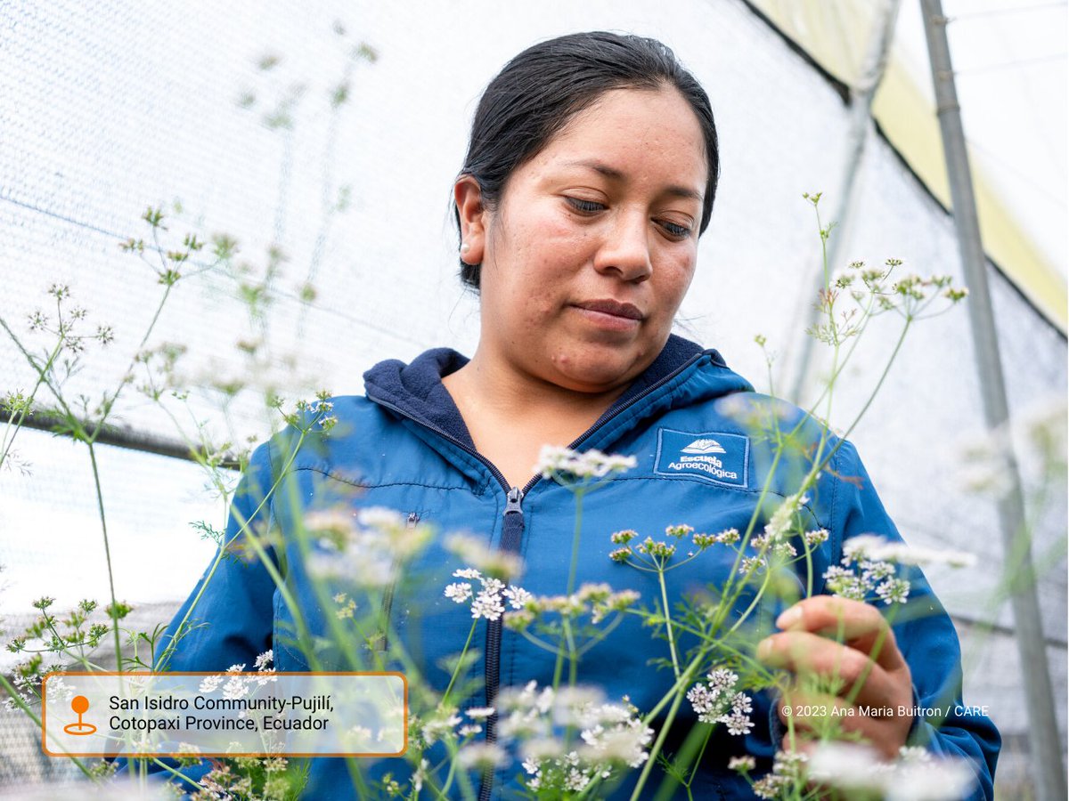 CARE Climate Justice tweet media