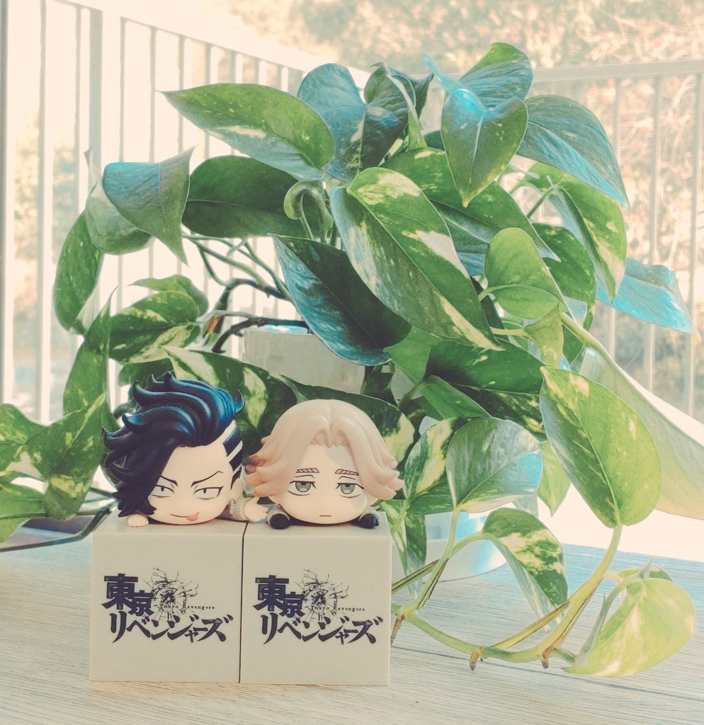 PCを中々開けない日々を送っております。もう少ししたらきっとこの多忙も落ち着くはず、と信じて。これは親友のお家にお邪魔した時の🐶と🈁、たまらない癒しの空間。