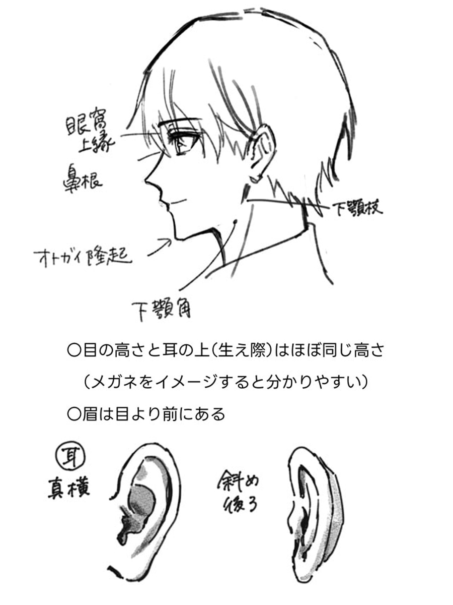 横顔を描く時のポイント✨
palmie.jp/courses/391/lp…