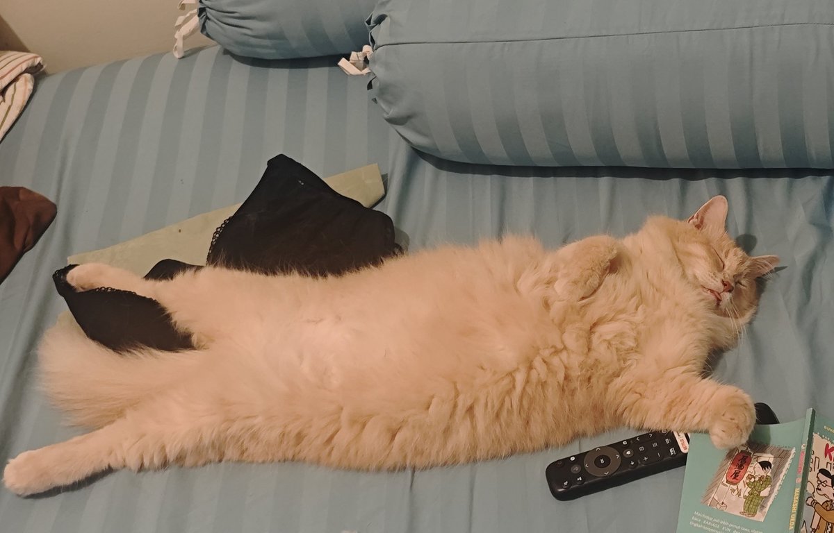 bintik tweet media