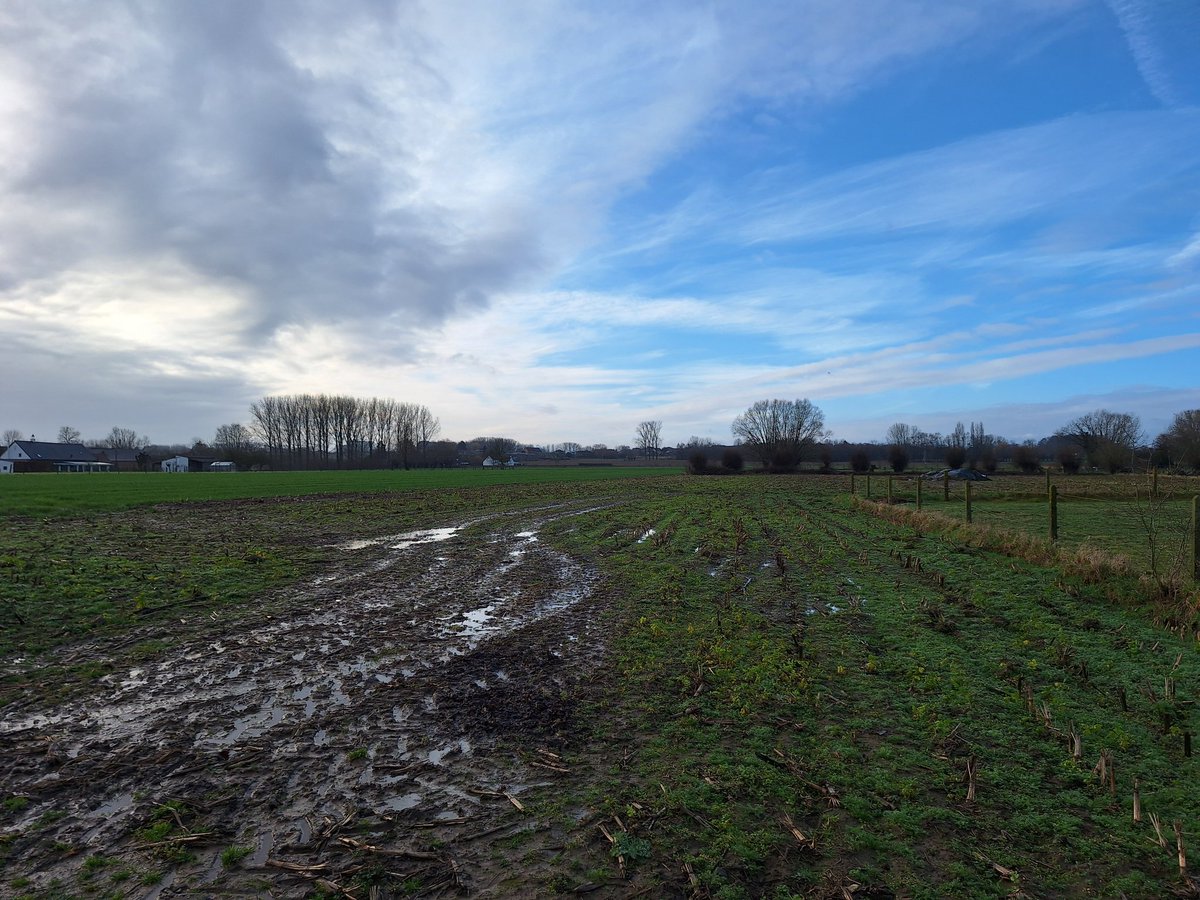 HBlaton's tweet photo. Galmaarden, 09.35 uur #vrtweer https://t.co/XAka70VCD0