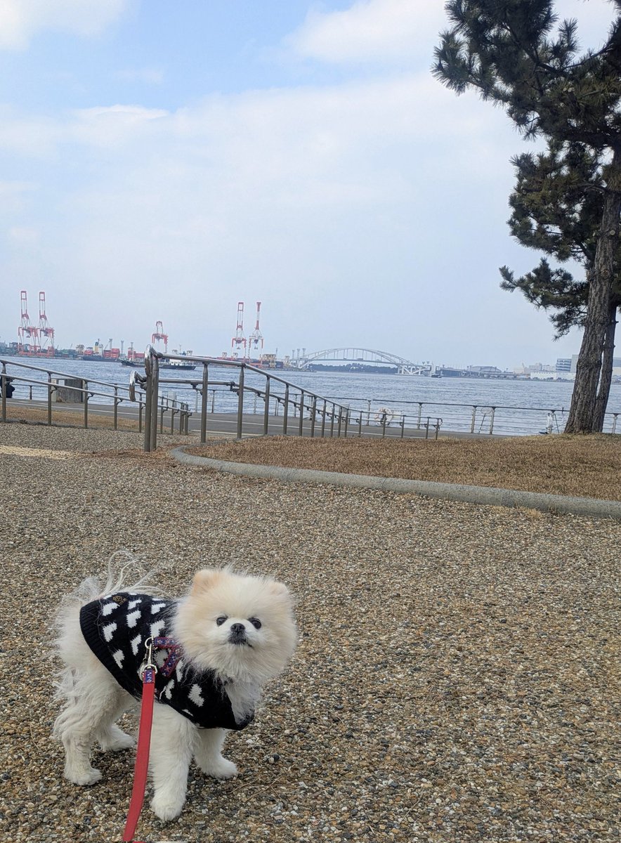 Lefrancルフラン tweet media