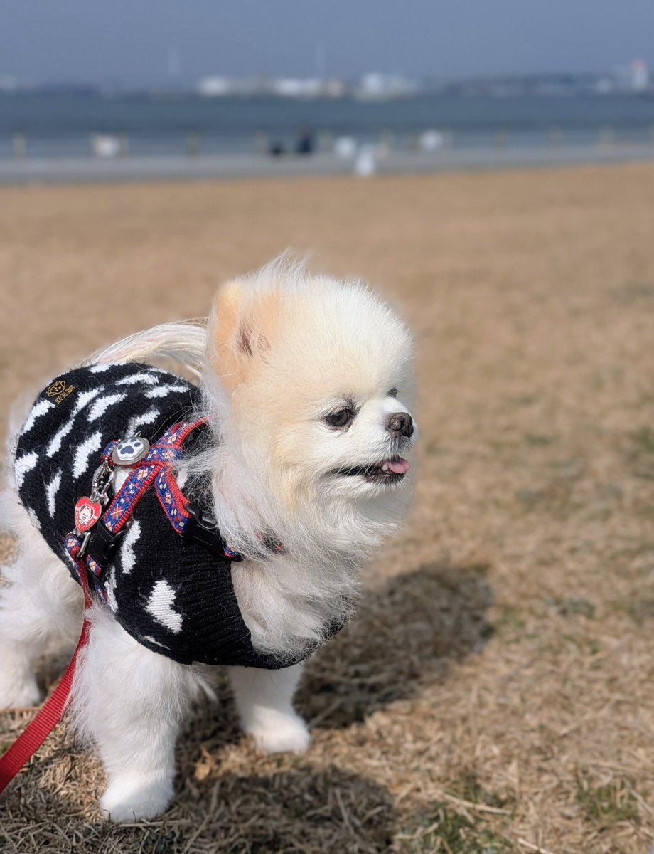 Lefrancルフラン tweet media