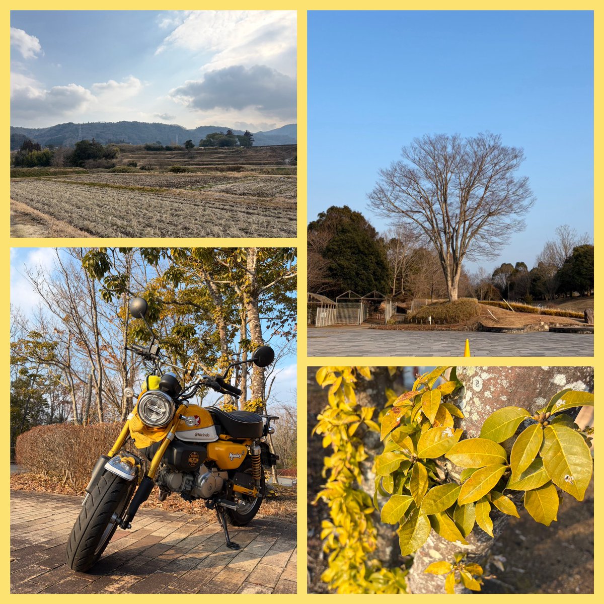 takeo🍜🐒🎶 (@takeo84405905) / Posts / X