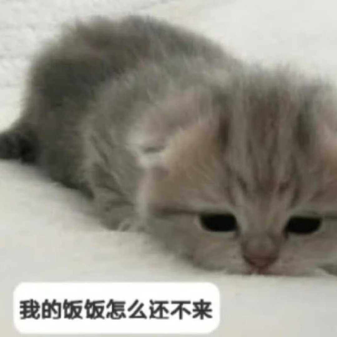 情人节有偿接单条：
1.代吃滨寿司【150r】
2.代吃寿司郎【200r】
3.代吃联名套餐【70r/人】
4.代吃疯狂星期四【50r】
5.代吃麦当劳【50r】
6.代吃DQ【50r】
7.代吃海底捞【200r】
8.代吃汉堡王【50r】
9.代吃达美乐【100r】
10.代吃萨莉亚【80r】
不挑食，全都接