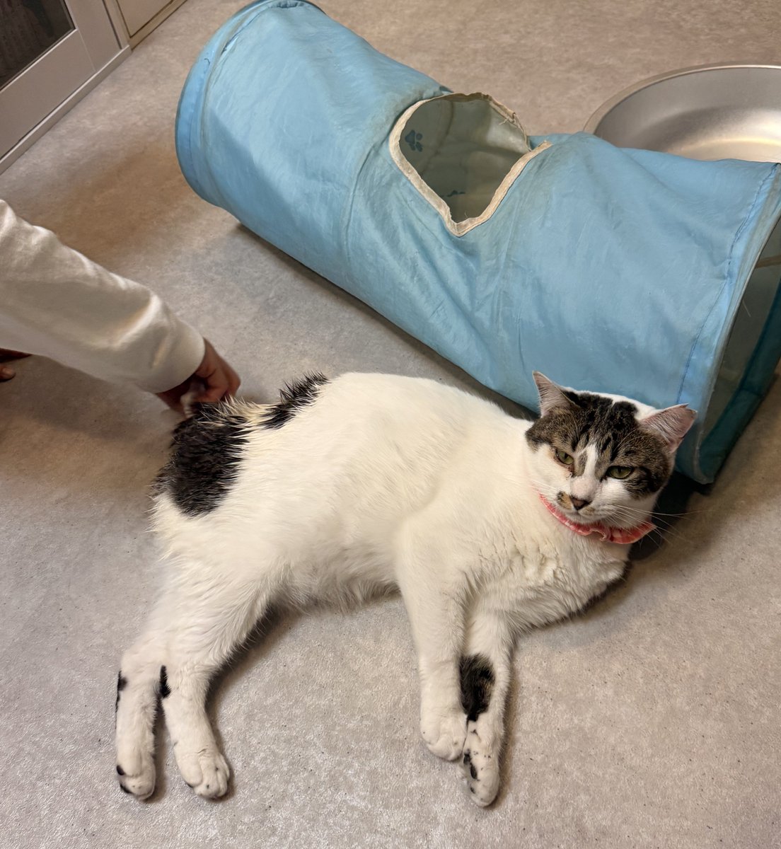 雷十太先生 (@asjSvnCZl18wKXM) / Highlights / X