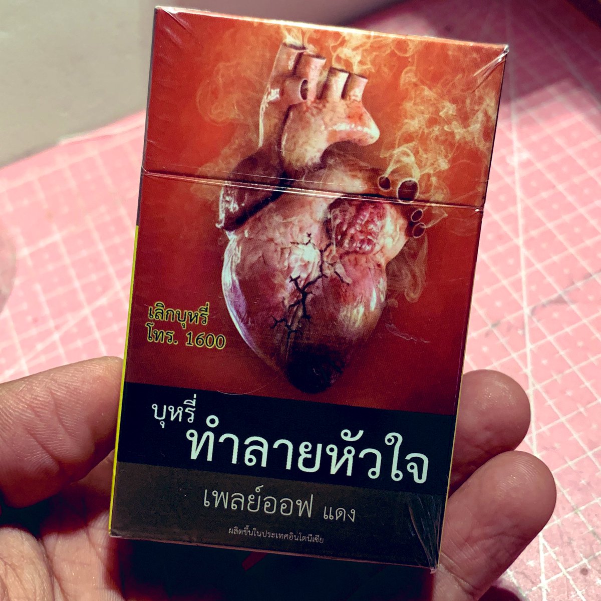 Nyicip rokok thailand