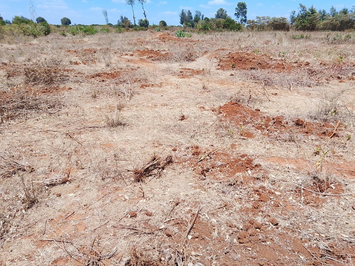 WamaithaGitonga's tweet photo. When your property plug says: Cultivate this parcel for free.

Thank you for this piece @LaikipiaRanches https://t.co/XPIwwDyK8R