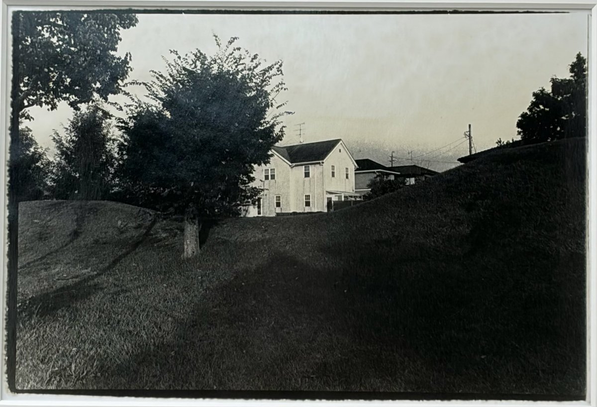 蒼穹舎 tweet media