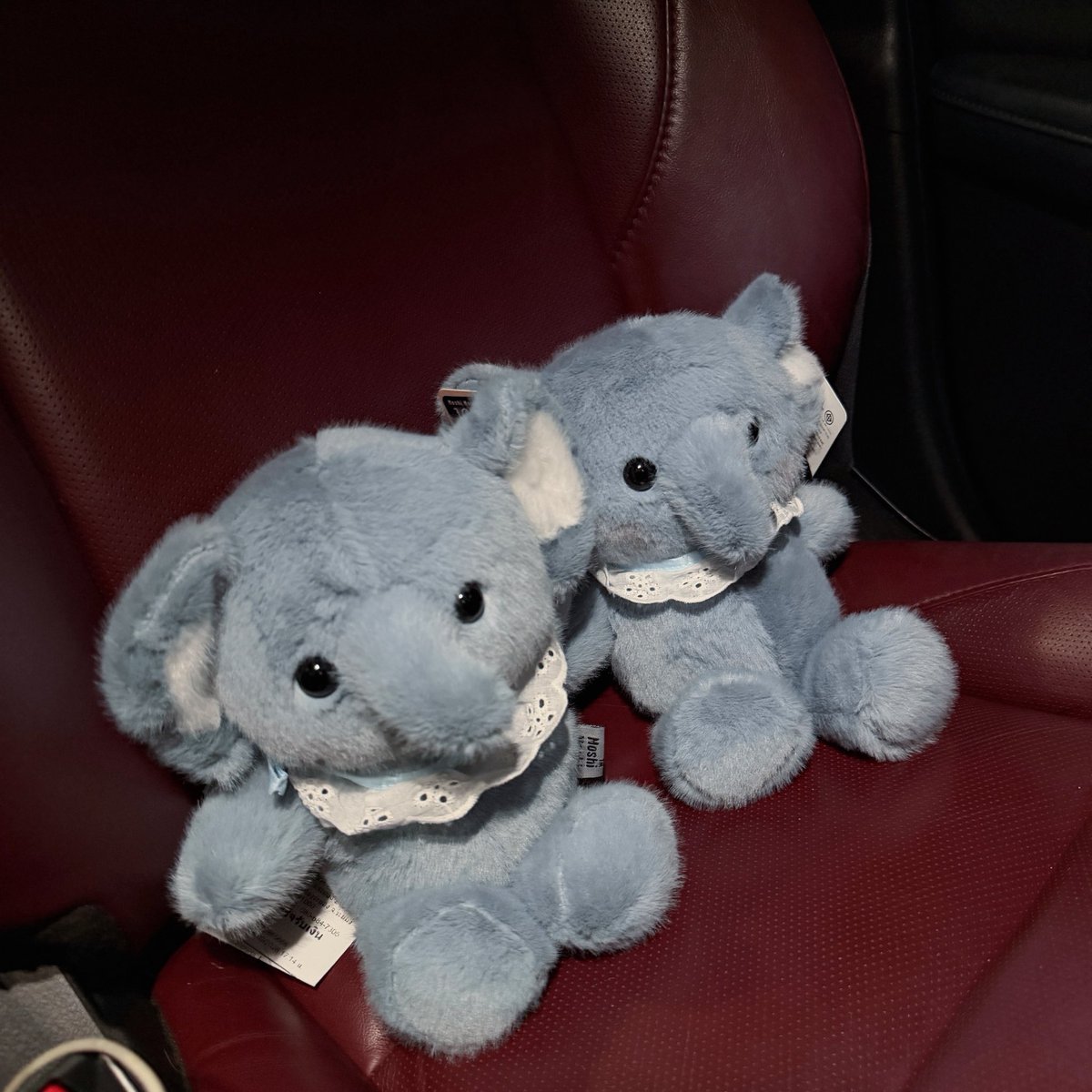 ละทำไมของชั้นมันหน้าดื้อกว่าใคร 😥