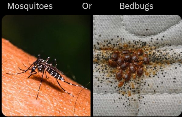 For the last time ??
Which one do you think is worse 👁️👀