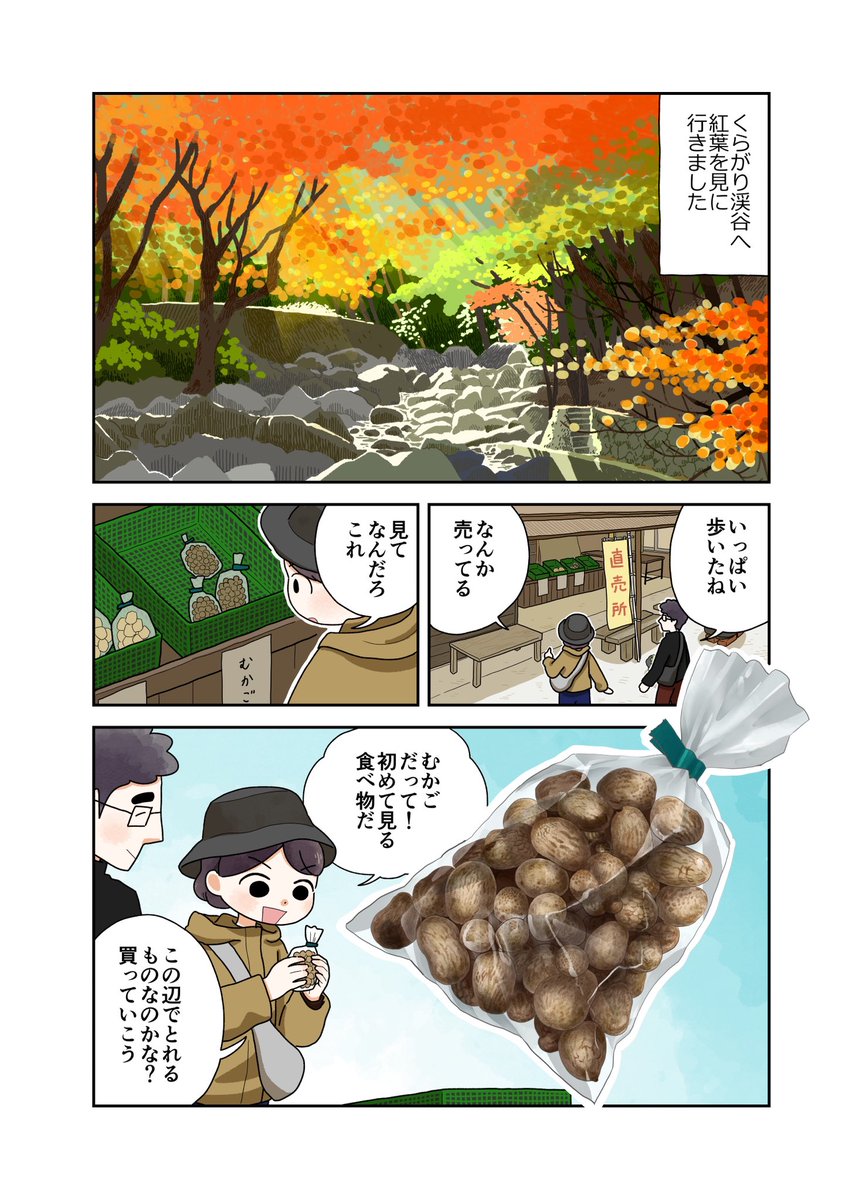 珍しい野菜食べてみた
「むかご」

#コミックエッセイ 