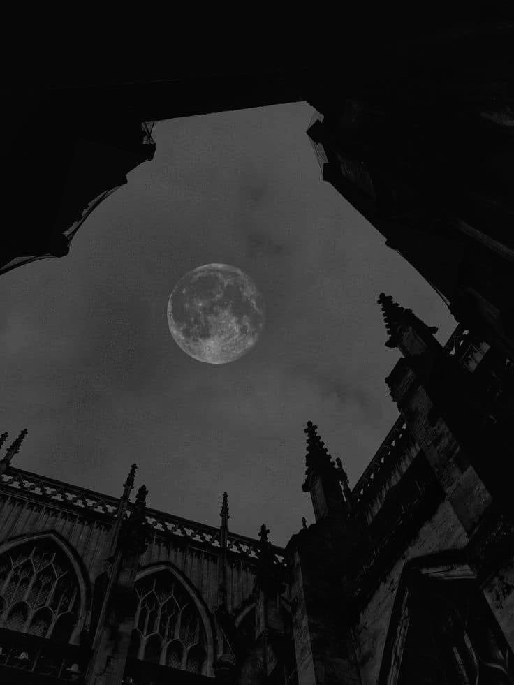 tkookficrecs's tweet image. The Weeping Devil by @vminsbuns for @tkjockfest 

• 75’906 words | explicit 
• werewolf JK x vampire Tae
• enemies to lovers 
• jocks taekook
• small town, mystery 
• SO. MUCH. PLOT 🤯

archiveofourown.org/works/76418386