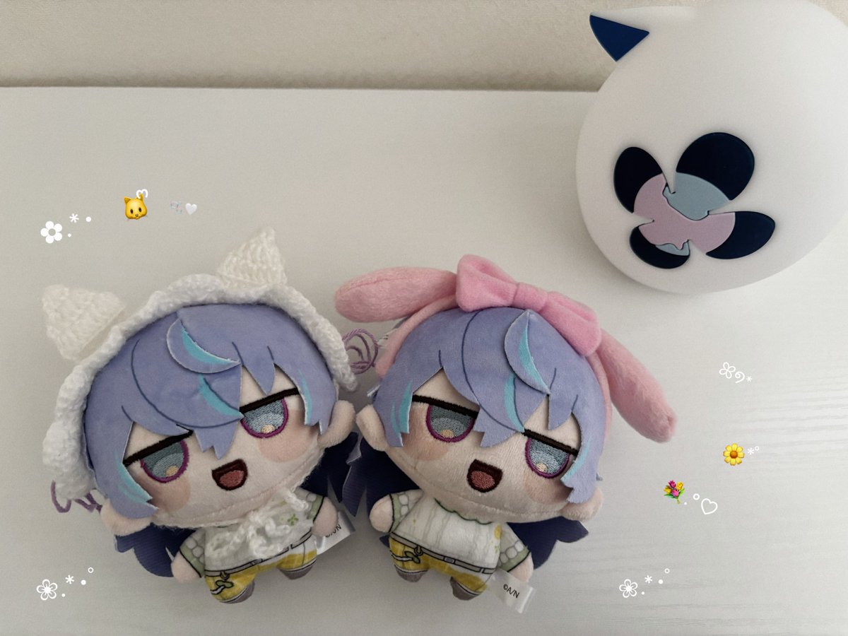 🎀🐈‍⬛⸒⸒⸒⸒🐾