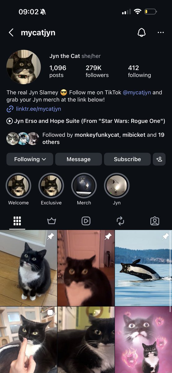 @merakixr Literally isn’t even your cat, her names jyn and she has an ...