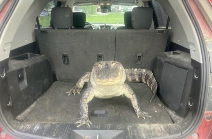 Sixrande's tweet image. 