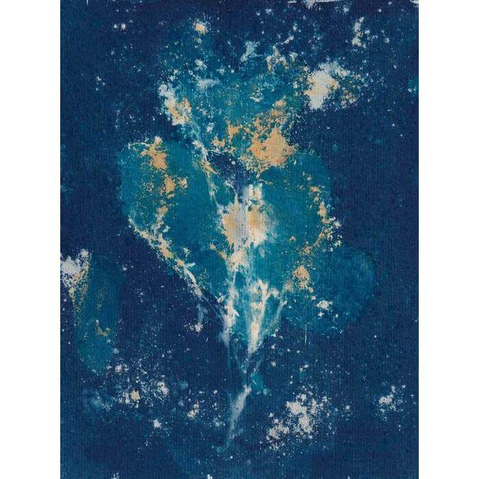 alternativephot's tweet image. WET CYANOTYPE for our COLOUR Calendar event by RITA MUNGIARDI, "COSMIC BURST" — Cameraless botanicals, foam, bicarbonate, and salt create stardust-like specks and cosmic textures on acid-free paper.
See entries:
👉 alternativephotography.com/calendar-event…

#cyanotype #wetcyanotype #altprocess